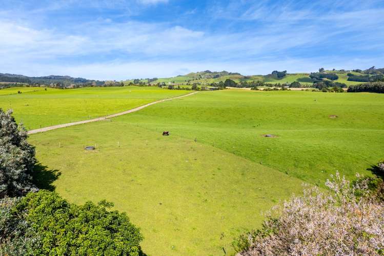 226 Pukearuhe Road Mimi_12