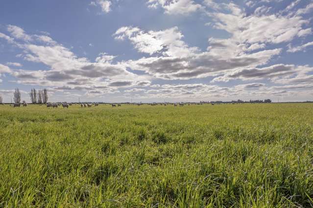 Cryers Road Southbridge_2