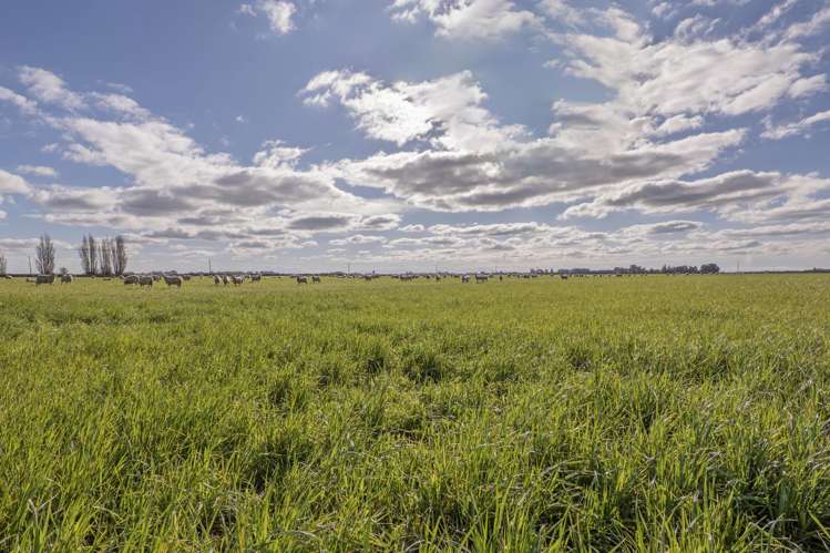 Cryers Road Southbridge_2