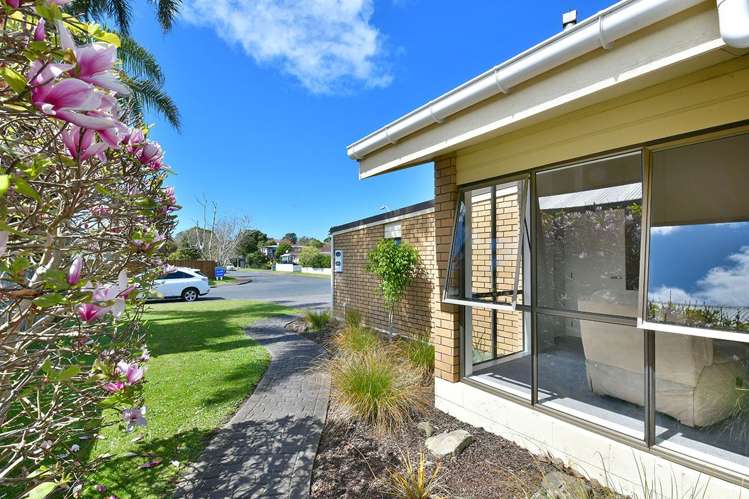 18 Manly Park Avenue Manly_33