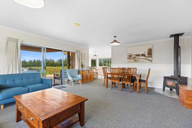 617 No 2 Road Te Puke_2