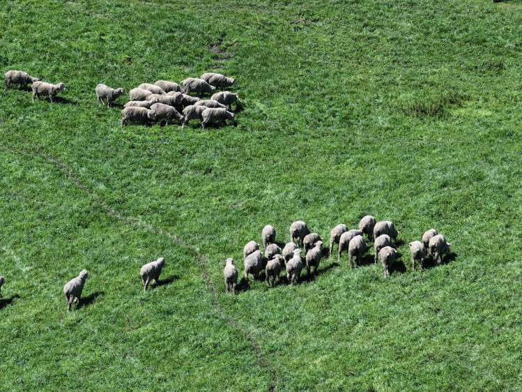 512 Karaka Road Waikari_9