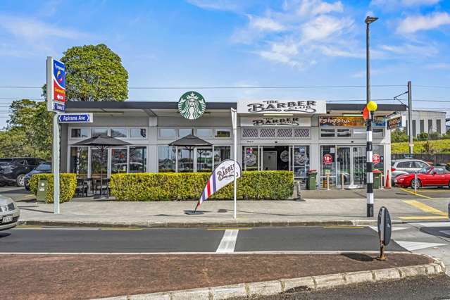 227 Apirana Avenue Glen Innes_1