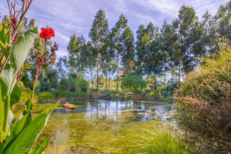 2B Bibby Street Waipawa_27