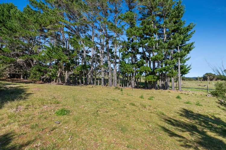 158 McLeod Road South Head_34