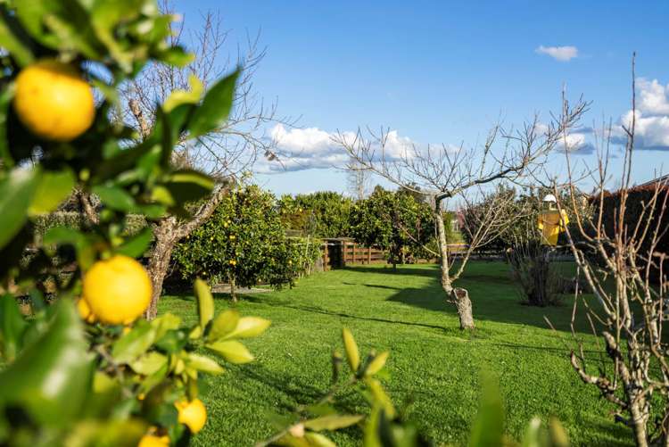 1513 Kaiaua Road Mangatangi_23