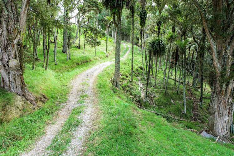 83 Paparoa Station Road Paparoa_7