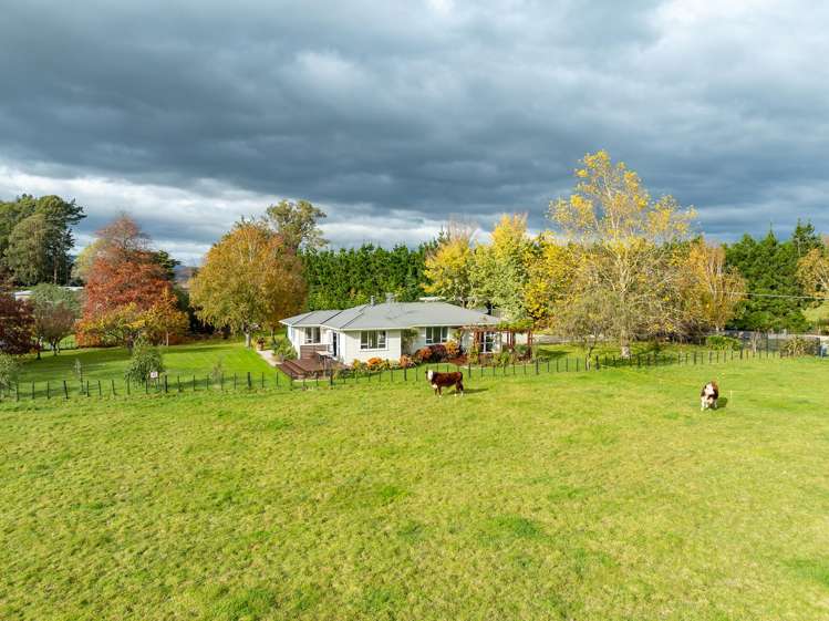 139 Woodlands Road_1