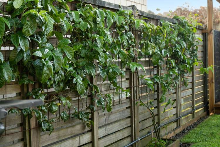 6/100 Dp Millers Road Brookfield_13