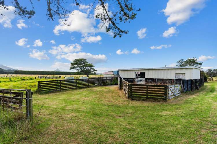 1091 Pouto Road Dargaville_24
