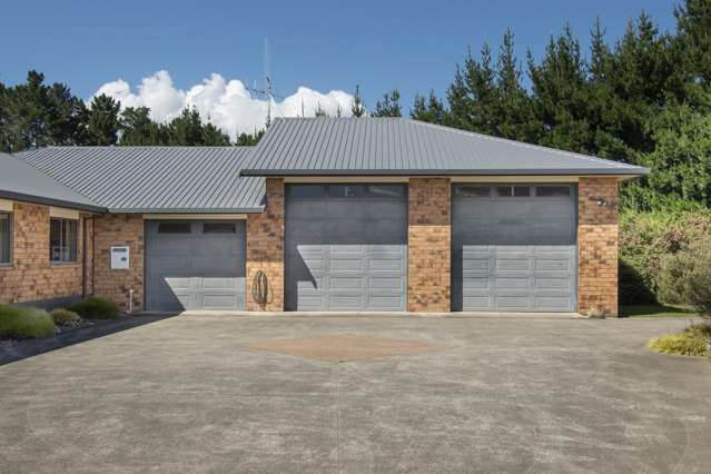 123 Bradford Street Waihi_2