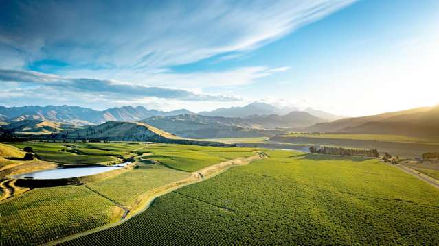 413 Upton Downs Road Seddon_3