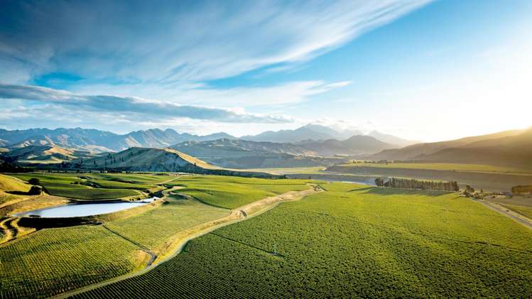 413 Upton Downs Road Seddon_3