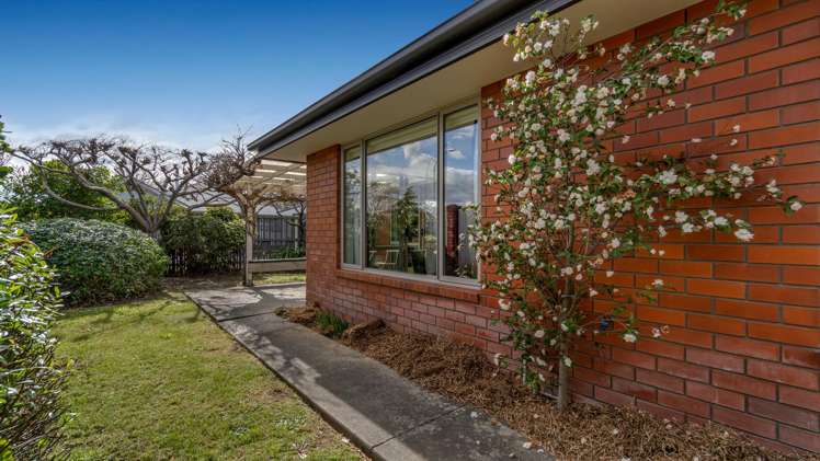 20 Morris Road Amberley_22