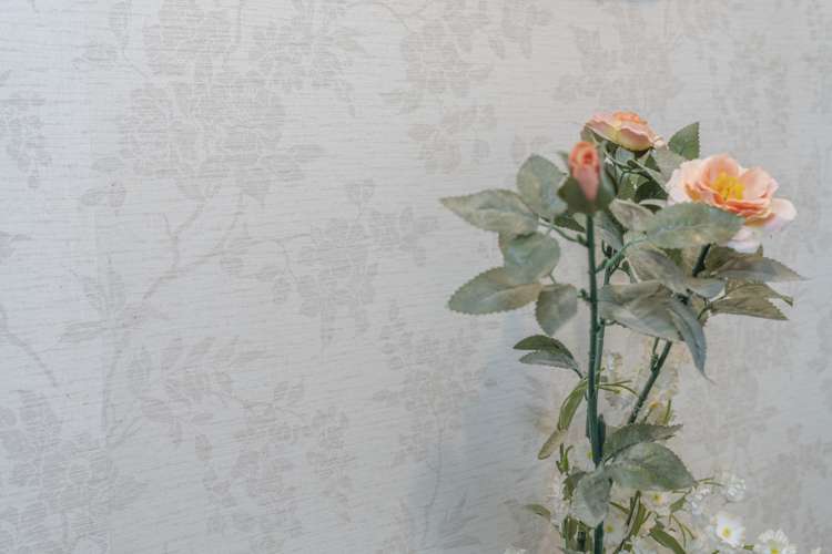 104 Shackleton Road Mount Eden_19