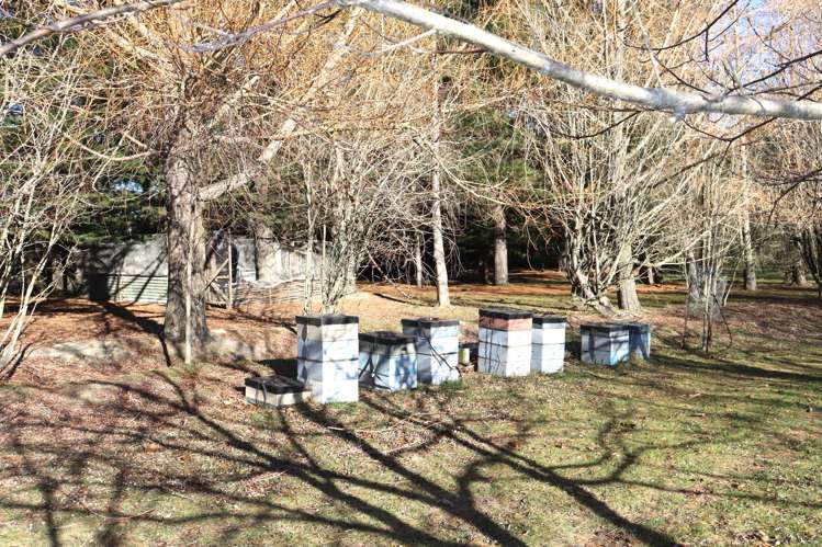 49/53 Special School Road Otekaieke_32