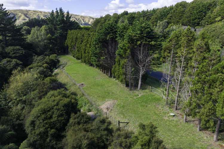 74 Coroglen Rise Pukerua Bay_9