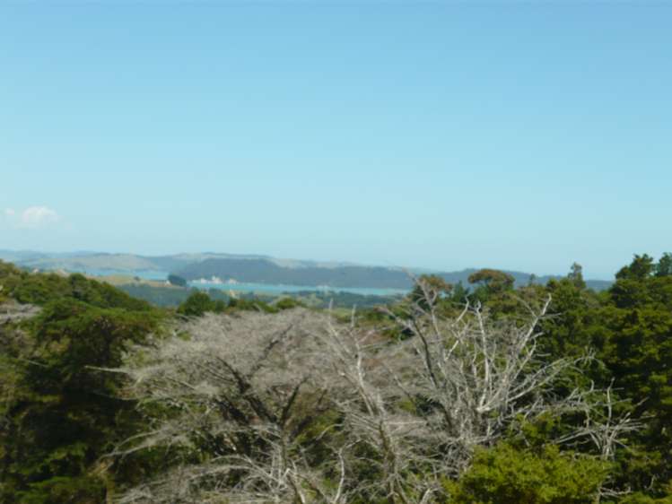 843 Whakapirau Road Whakapirau_15