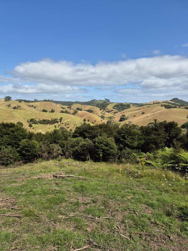79 Awaawaroa Road Awaawaroa Bay_3
