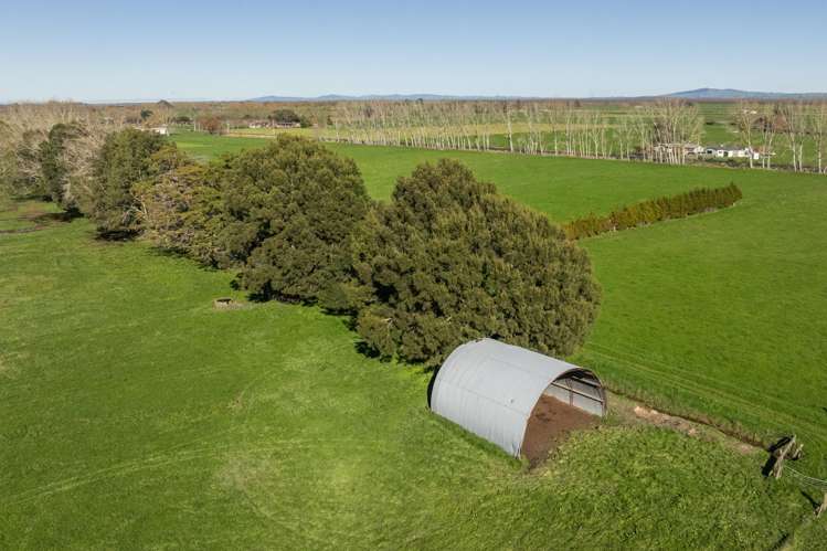 649 Wani Road Netherton_5