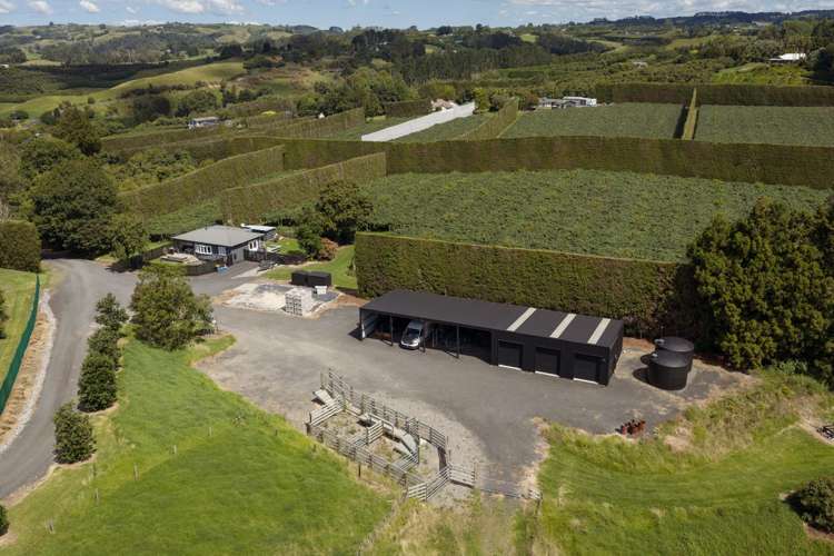 Address withheld Whakamarama_39