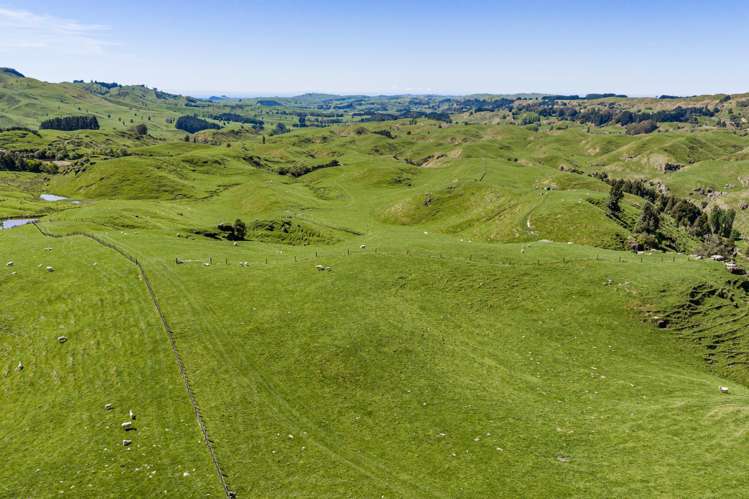 1262 - 1520 Maraetotara Road Waimarama_22