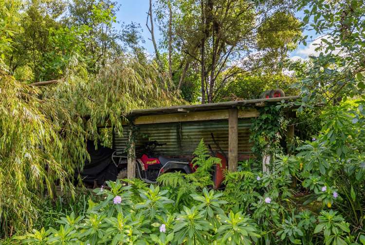 605 Whakapirau Road Whakapirau_17