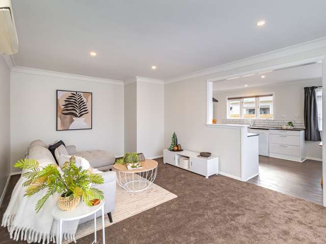 17 Gardener Street Levin_3