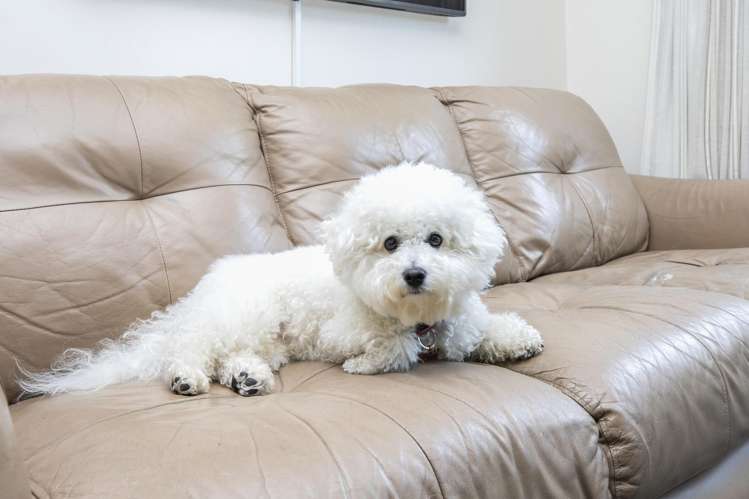 8/16 Derby Street St Albans_7