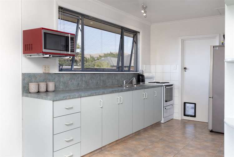 38 Alabama Road Redwoodtown_4