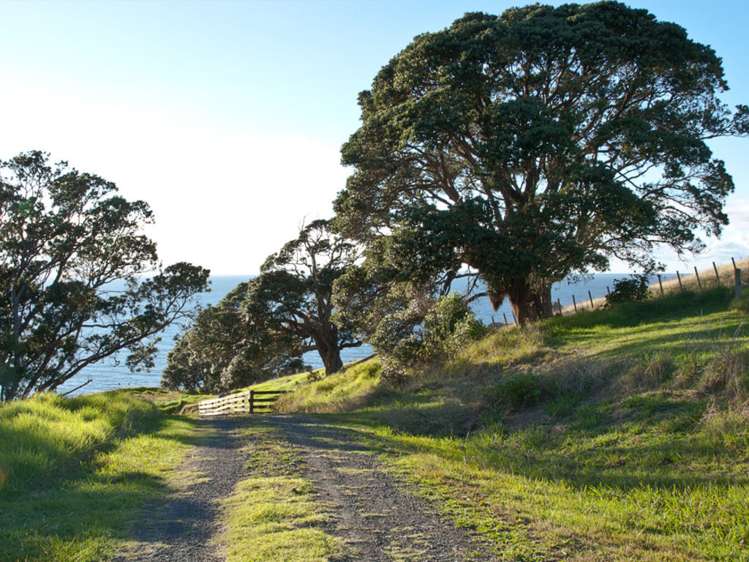 115 Radar Road Hot Water Beach_5