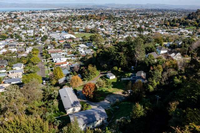 1 5/36 Sievwright Lane Whataupoko_4