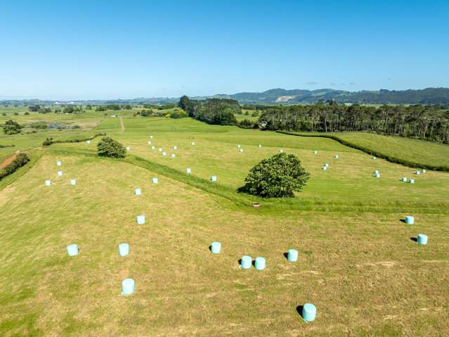 774 Koheroa Road Mercer_4