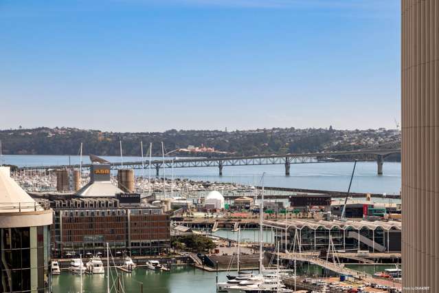 1702/8 Albert Street City Centre_2