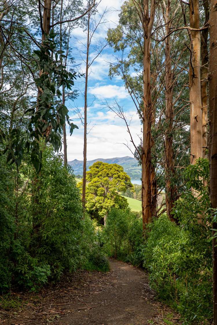 120 Pipers Valley Road Duvauchelle_23