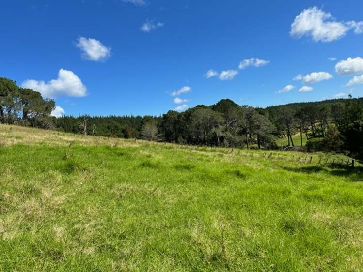 120a Escott Road Dairy Flat_12