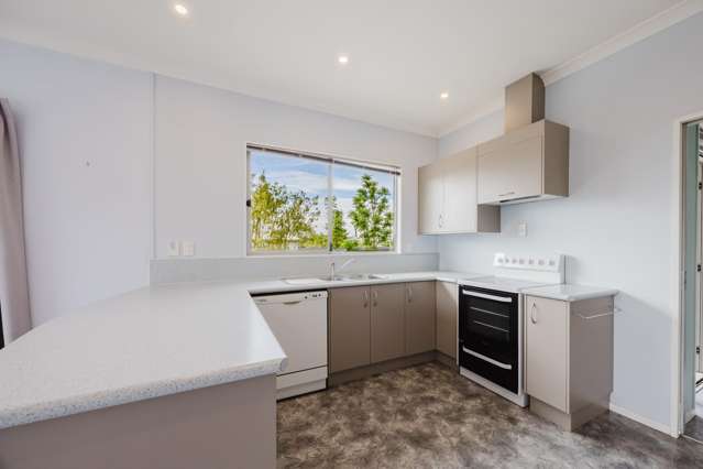 8A Mt Herbert Road Waipukurau_1