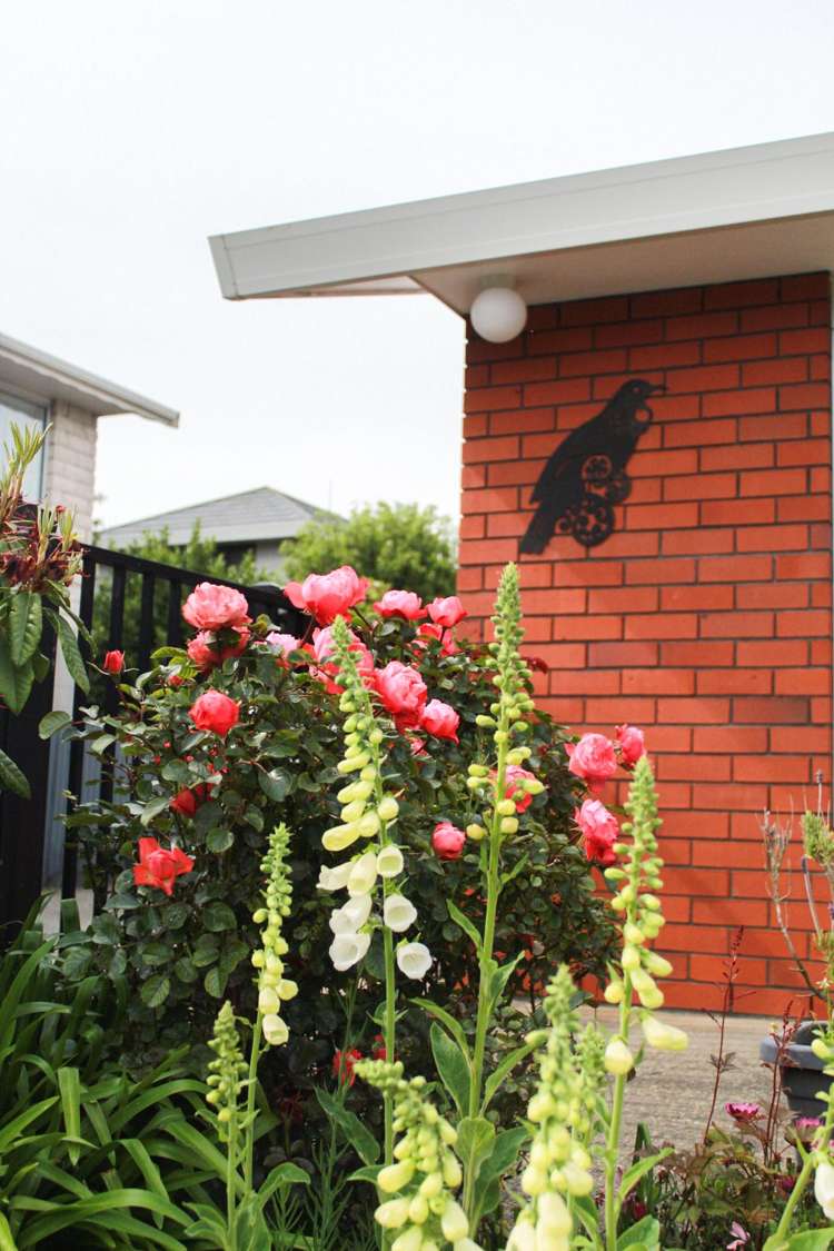 2/107 Fox Street Avenal_20