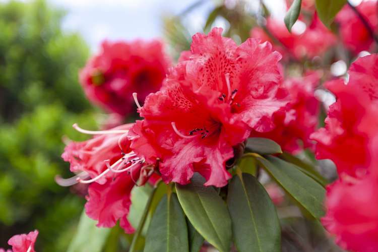 15a Rosebank Grove Waikanae_15