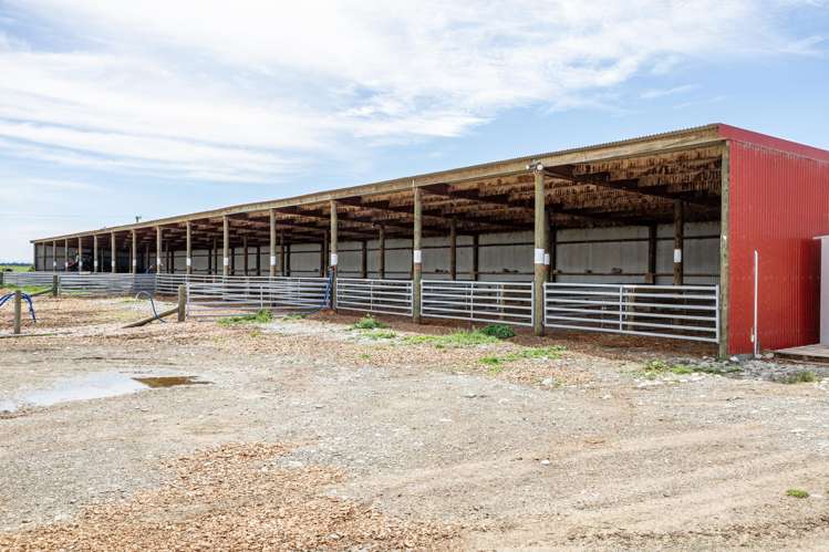 2247 Tinwald Westerfield Mayfield Road Ashburton_12