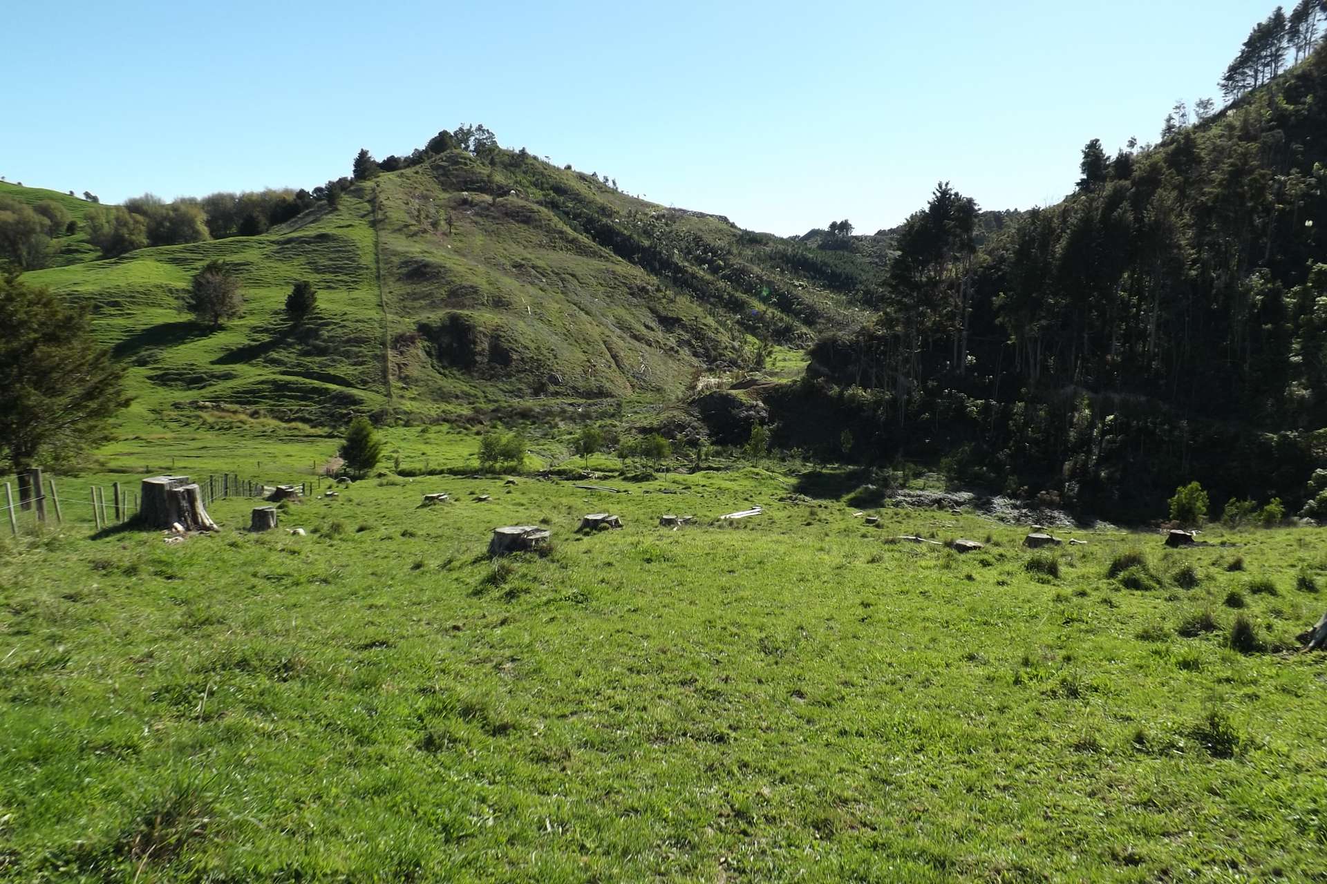 191 Worsp Road Pipiwai Far North Houses for Sale OneRoof