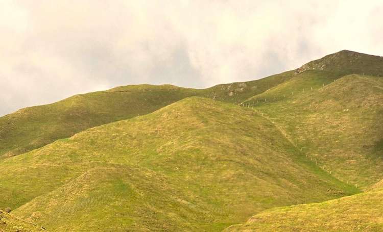 Mangaraupiu Road Eketahuna_15