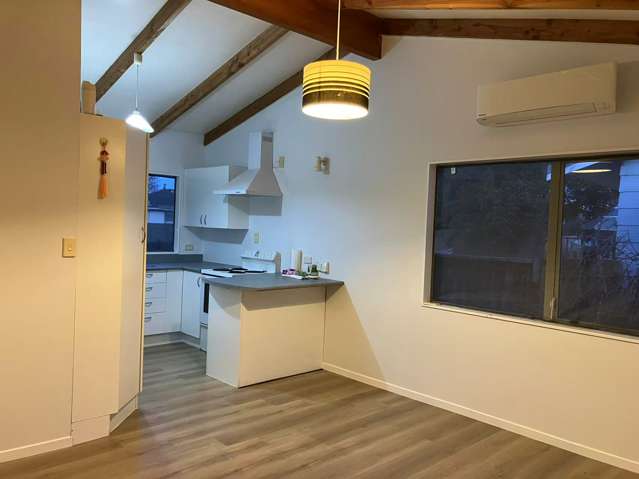 5A Challinor Street Pakuranga_2
