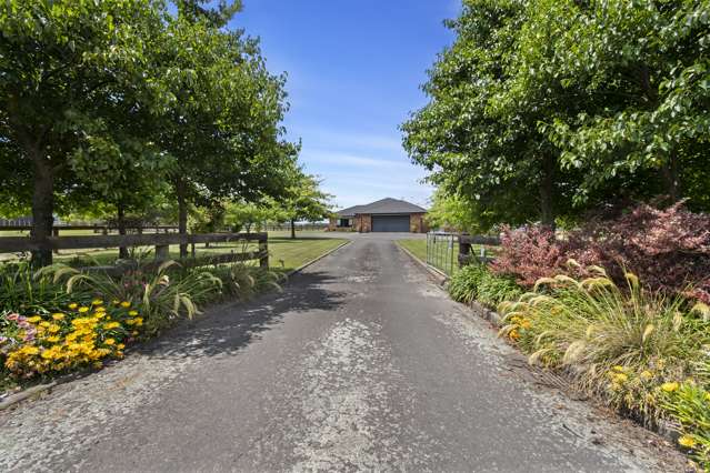 580 Taonui Road Feilding_4