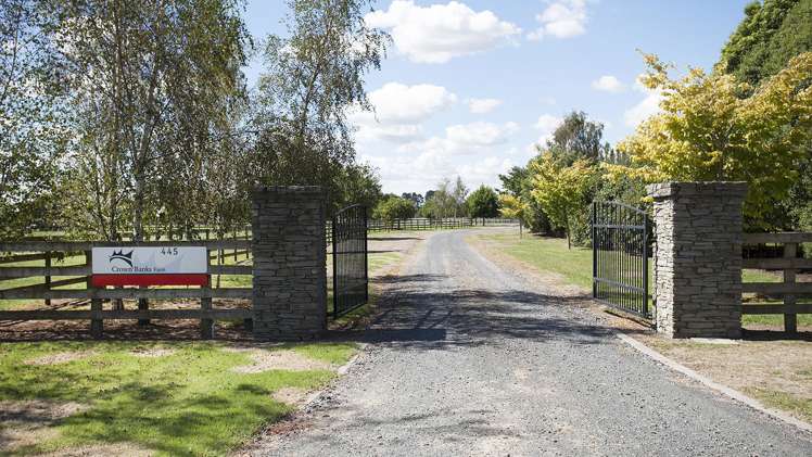 445 Mystery Creek Road Ohaupo_19