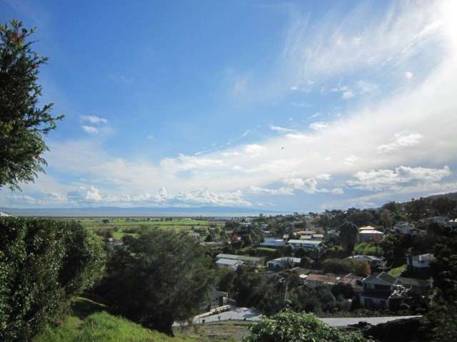 104 Alexander Close Thames_2