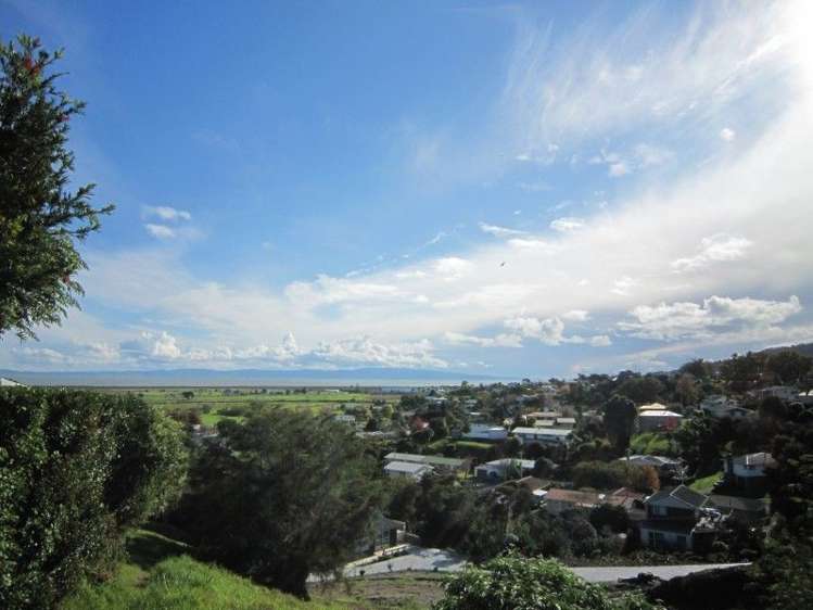 104 Alexander Close Thames_2