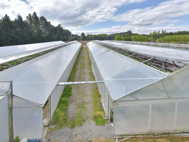 55 Fletchers Road Loburn_4