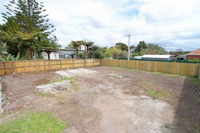 12a Riversdale Road Avondale_4