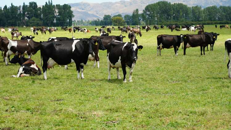 78 Cemetery Road Culverden_25